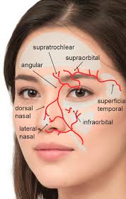 Prf under eye filler is a very natural treatment utilizing your own stem cells and growth factors. All About Under Eye Filler Elite Medical Aesthetics
