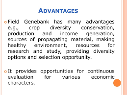 The majority of seed banks store crop diversity. Field Gene Bank And Seed Bank Bhavubha