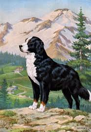 Vintage Dog Illustration Swiss Bernese Mountain Dog By Walter Etsy Bernese Mountain Dog Mountain Dogs Dog Poster