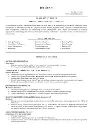 Insurance Agency Business Plan Template Plans Agent Free