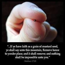 Todays Gospel If We Had Faith The Size Of A Mustard Seed Do We Lord God Increase My Faith Bible Faith Kjv