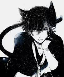Neko Boy Neko Animado Gato Anime Anime Neko