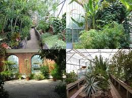 Sous Et Autour Des Serres Du Jardin Botanique De Metz Fier De Vivre A Metz