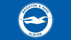 Brighton & hove albion football club (nicknames: Pin On Clubes