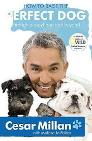 Every Dog Has His Day; McGrowl, Book 3