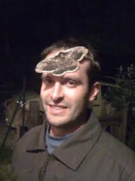 🕷️🕸️🕷️ Drôme : une effrayante araignée-loup découverte dans une  entreprise ! 👇👇👇 La rencontre a de quoi donner des sueurs froides… En  début de semaine, un responsable d'une société basée Montboucher-sur-Jabron  (Sud-Drôme)