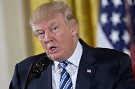 Woman who tweeted asking if someone would be 'kind enough to assassinate  Donald Trump' investigated by Secret Service