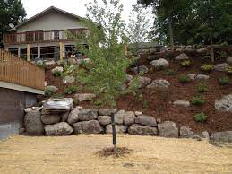 Pin By Tonie Erikson On Hillside Ideas Large Backyard Landscaping Backyard Hill Landscaping Backyard Landscaping