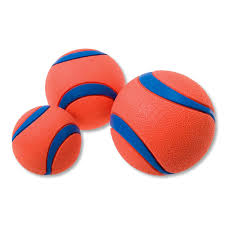 Find many great new & used options and get the best deals for jolly pets 6 soccer ball orange small/medium at the best online prices at ebay! Jolly Soccer Ball Dog Order