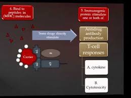 Stevens Johnson Syndrome Toxic Epidermal Necrolysis Youtube
