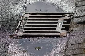 Meistens laufen wir achtlos über sie hinweg. 70 Kostenlose Kanaldeckel Gulli Fotos