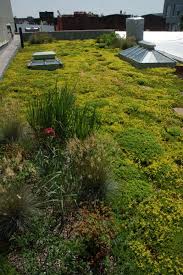 Roof Garden Green Roof Flat Roof House Green Roof House