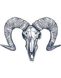 It is only a sign of a dead goat. Tattooed Now Dotwork Goat Skull Tattooed Now Shop By Brand Kultkosmetik De