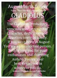Gladiolus August Birth Flower Happy Birthday To All Of You Born In August Ht Good Morning Image Quotes Funny Good Morning Images Funny Morning Images