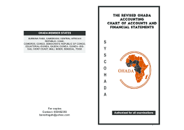 pdf the revised ohada accounting chart of accounts and