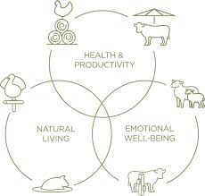 Animal Welfare Certified Food Labeling Program Global Animal Partnership Animal Welfare Animal Behavior Welfare