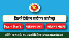 Sylhet Civil Surgeon Office Job Circular 2023 - cssylhet ...