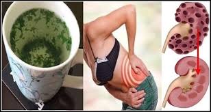 Reins Sont L Un Des Organes Les Plus Importants Dans Le Corps Humain Qui Filtrent Le Sang Eliminent Les Toxi Kidney Detox Cleanse Kidney Cleanse Clean Kidneys
