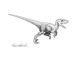 Are there any good hd pictures of dinosaurs? Tyrannosaurus Rex Dinosaur T Rex Ink Drawing Illustration Greeting Card For Sale By K Whitworth
