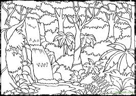 Rainforest Coloring Pages Coloring Pages Jungle Coloring Pages Enchanted Forest Coloring Book Enchanted Forest Coloring