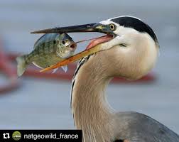 Pecheenmer Boutique De Peche Fishxper Peche En Mer Mer Vacances Canne A Peche Poissons Pecheur Bateau Leurre Hamecons Pecher Poisson Saumon Ch Fotografie