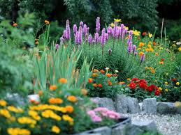 Rock Garden Rock Gardens Like This One Can Be Designed To Appear Like An Alpine Meadow From Hgtv Com S Garden Galleries Rock Garden Plants Rock Garden Design