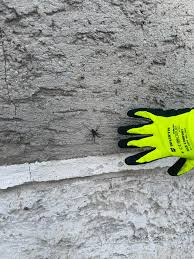 Image result for pokoutnik st job 