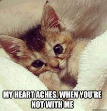 What are the best love memes for her? The 100 Best I Love You Memes That Are Cute Funny Romantic All At The Same Time Cute Love Memes Love Memes For Him Funny Romantic Memes