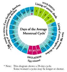 scientific pregnancy possibility chart 2019