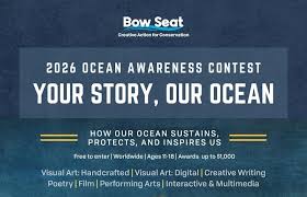 Bow Seat