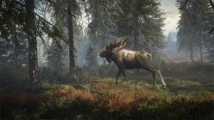 What is call of wild? Thehunter Call Of The Wild Is Available Now Avalanche Studios