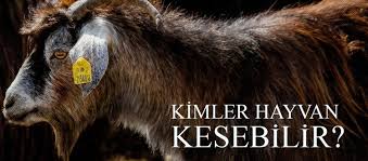 Kimler Hayvan Kesebilir Gayrimuslimlerin Kestigi Hayvanin Eti Muslumana Helal Midir Fikriyat Gazetesi