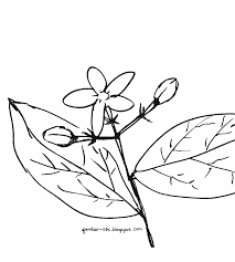 Coretan tangan pensil digerakkan serasi dan seimbang crayon dan cat air warnai gambar pemandangan pun orang semakin memperindah lukisan. 49 Gambar Sketsa Bunga Matahari Mawar Tulip Sederhana