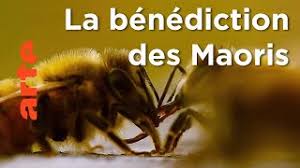 Regarder être avec les abeilles 2021 streaming en entier . Tous Les Documentaires Abeilles En Streaming Les Docus Com