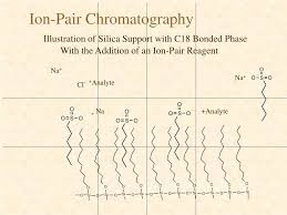 Pdf] Rna Analysis By Ion-Pair Reversed-Phase High Performance Liquid  Chromatography. | Semantic Scholar