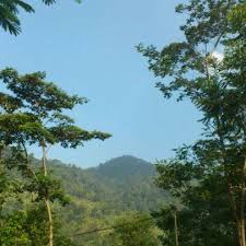 See 6 photos and 2 tips from 13 visitors to loji, karawang. Photos At Loji Karawang 2 Tips From 13 Visitors