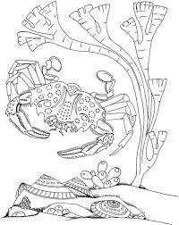 Seascape Ocean Coloring Page Ocean Coloring Pages Coloring Pages Animal Coloring Pages