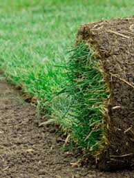A sod cutter is used when you want to clear away old grass to make way for your new sod. How To Use A Sod Cutter Lovetoknow
