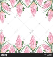 See more ideas about flower background design, flower backgrounds, design. Delicate Floral Print Image Photo Free Trial Bigstock