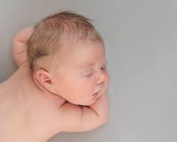 Maria Thibodeau Photography