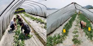 Get walmart store hours and driving directions, buy online and store pick up. Recent Shanghai Soong Ching Ling Foundation