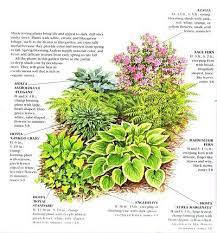 What i think will surprise and delight you is just how vibrant shady areas in a garden can be. Pin On Landscape Ideas