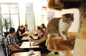 Fotogalerie Fotogalerie Fotos Munchen Bayern