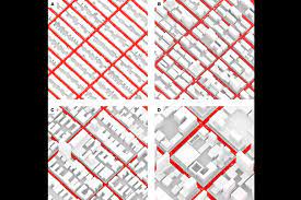 Why City Blocks Work Harvard Gazette