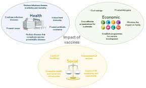 Studies on their pharmaceutical quality and studies to check first the then vaccines are tested in human volunteers in studies called clinical trials. Frontiers Impact Of Vaccines Health Economic And Social Perspectives Microbiology