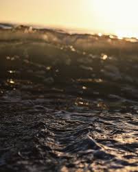 Adam Blackner (@adamblackner) • Instagram photos and videos