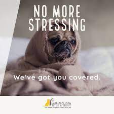 Maybe you would like to learn more about one of these? Golden Dog Title Trust Orlando Home Facebook