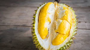 Sầu riêng Dona