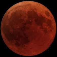 You should be able to see the eclipse if it occurs during your nighttime, and you as described in mechanics of lunar eclipses, the earth's shadow during a lunar eclipse has two parts: Lunar Eclipse Facts For Kids Interesting Facts About The Lunar Eclipse