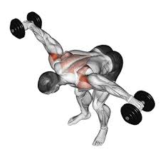 We did not find results for: Posterior Deltoid Functional Anatomy Guide Bodybuilding Wizard